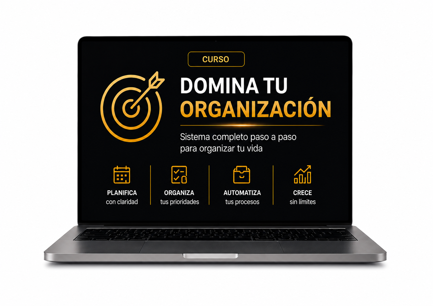 Curso domina tu organización